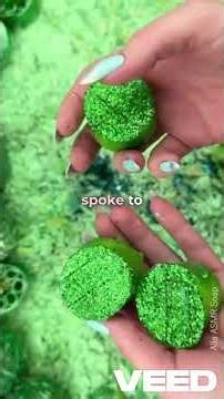 The Neighbor Who Watches