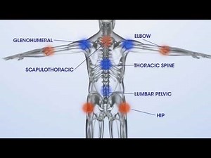 6. Stability vs. Mobility