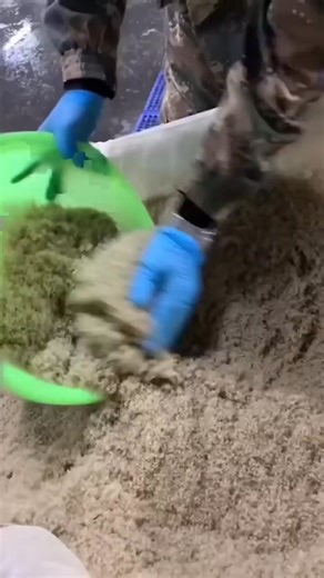 #foryou #funny #fypageシ #cute #pets #cat #fblifestyle | Paw Pilot