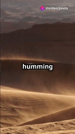 Nature’s Symphony: The Singing Sand Dunes! 🏜️🎵