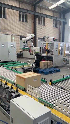 FANUC Cobot Palletizer | Automatic Carton Boxes Stacking Collaborative Robot Palletizing Solution