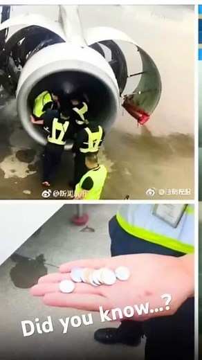 Did a Woman Really Throw Coins Into Jet Engine for Luck?? #airlines #superstitions