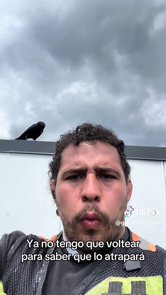 Intelligent Crow Tricks and Nature in Canada