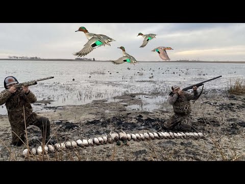 Green Wing Teal RAIN OUT(South Dakota Duck Hunt)