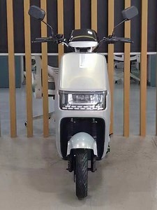 [Hot Item] Electric Scooter Motorcycle for Adults N300