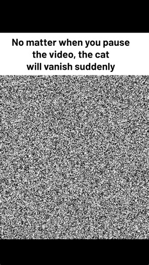 No matter when you pause the video, the cat 🐈 will vanish suddenly | Universal World