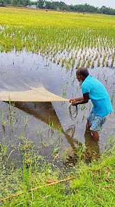 4.6M views · 10K reactions | Amazing Net Fishing With Old Fisherman | Fisher Village | Facebook
