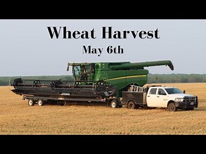 Texas hogs Vs. Custom Harvesters