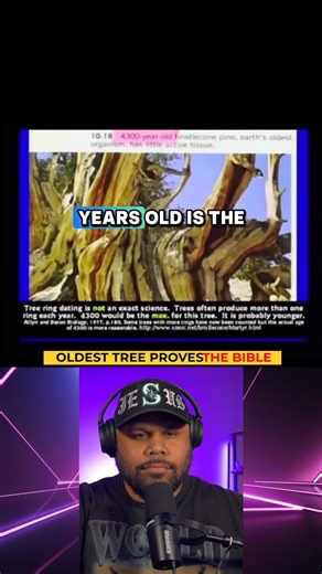 This tree PROVES the Bible is real and accurate. | Josiah Alipate