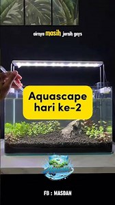 Hari ke 2 bikin aquascape in door
