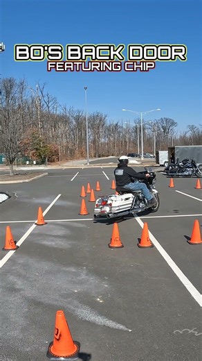 Chip up close in Bo's Back Door Pattern