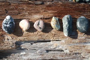 Retreat to Steep Ravine Cabins on Rocky Point