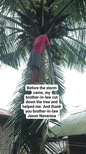 7.9K views · 30 reactions | Always be prepared, don't be careless. #SupertyphoonUwan #staysafe | Ka Woodi | Facebook