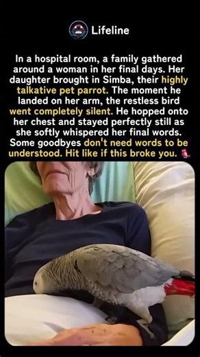 The Bird Went Silent — That's How She Knew 🦜💔