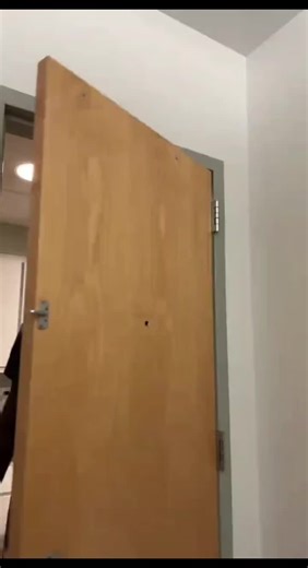 mr green (@mr.green042)’s videos with original sound - mr green