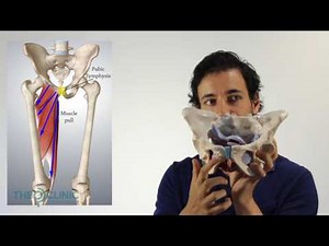 OP mechanics: Hip drop