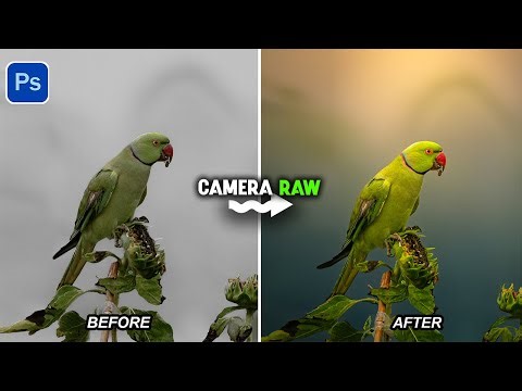 Quick Guide to Manipulate Colors Using Masking in Camera Raw