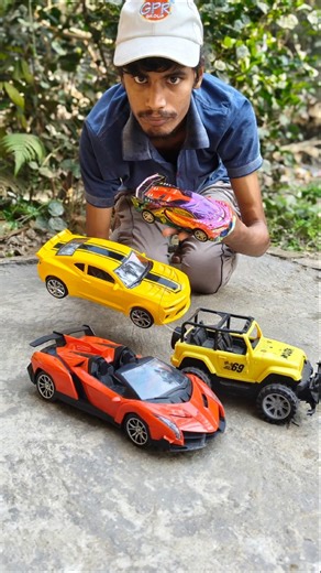 Remote Control Cars Racing