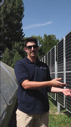 Agrivoltaics | Bifacial Solar Fence