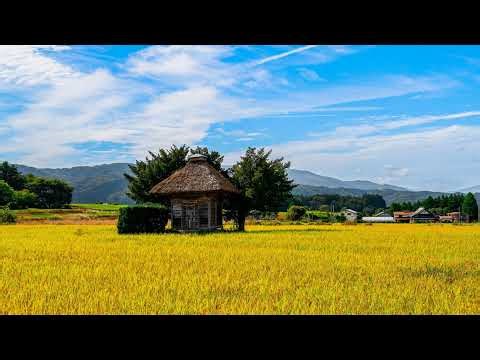 岩手県遠野市遠野町ライブカメラ Iwate Tono Live camera.world.cam