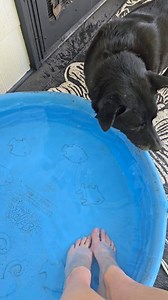 Its hot outside. Got my foot soaking pool on the porch 🤣 | Coree Loffink