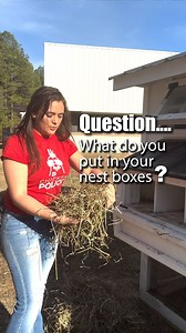What do your chickens like in their nest boxes? Leave a comment below and let us know | Carolina Coops