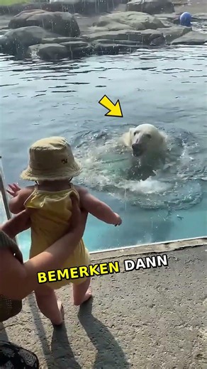 Eisbär hatte eine schockierende Überraschung für das Baby! 🤯⚠️\n#süßetiere #eisbär #tiere