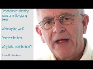 Appreciative Inquiry - John Hayes