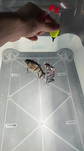 1M views · 4K reactions |  Revolutionary Fishing Technology: Elevate...