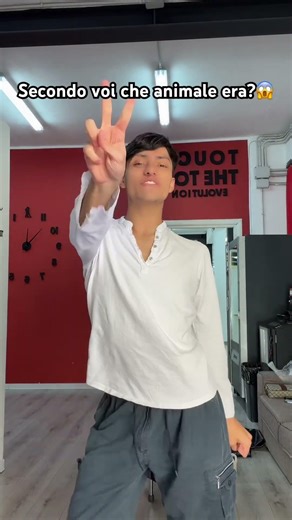 Vi sfido a scrivere ad occhi chiusi “ape” vediamo chi ci riesce ❤️