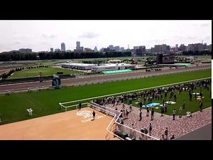 札幌競馬場 指定席より（2014）