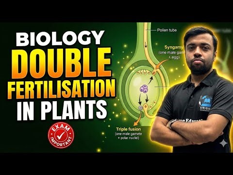 Double Fertilisation in Plants 🌱 | Biology Class 10 | Exam Important | Full Concept