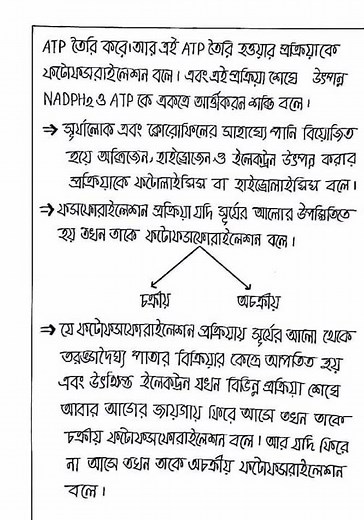 Class 10. Biology chapter:-4 All notes.