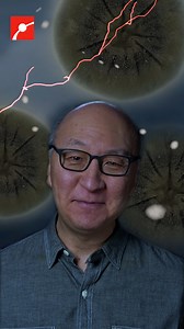 7.5K views · 5.4K reactions | Is something in Chernobyl eating...