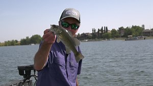 2.1K views · 40 reactions | Lure testing... Raw video shot while...