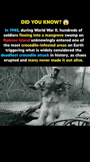 The Deadliest Crocodile Attack in History 😱 | WWII’s Darkest Night #shorts