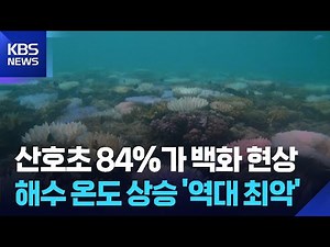 전 세계 산호초 84%가 백화 현상 ‘역대 최악’ [기후는 말한다] / KBS 2025.06.05.