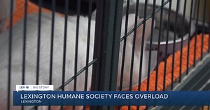 Lexington Humane Society seeks the community's assistance