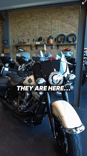 67 reactions | EX-DEMO RACE IS ON Low miles, big savings, limited number of bikes left  Ready to ride out the door on the latest and greatest of the Harley-Davidson collection yet! Come check it out: https://www.laguna.co.uk/harley-davidson Only while stocks last  #harleydavidson #maidstonehd #newbike #bikelife #mshdfam #comefindme #biker | Maidstone Harley-Davidson | Facebook