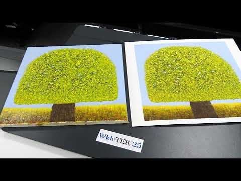 WideTEK 25 Art Scanner Review