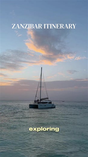 zanzibar was a dream✨ here’s a full itinerary full of travel tips and things to do 🏝️🐬🇹🇿🌺🥥🌊 #zanzibar #zanzibaritinerary #traveltips #thingstodoinzanzibar #solotravel