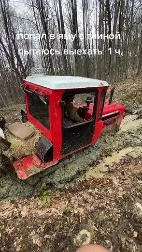 Red Tractor Struggles in Muddy Forest Trench