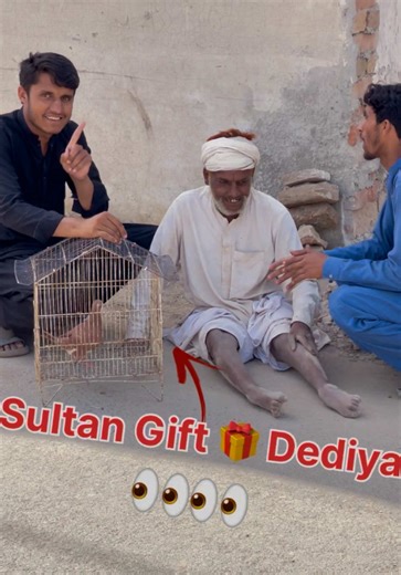 Hand Tame Pigeons: Caring Tips and Techniques