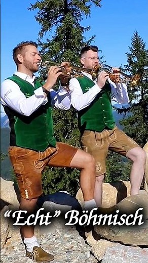 👆👆 Kennst du das neue Video von ECHT BÖHMISCH schon? #volksmusik #newmusic #blasmusik #shorts