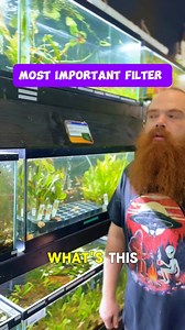 196K views · 796 reactions | Ceramic media is important because it’s...