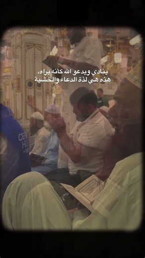 #راحة_نفسية #قرآن #قران_كريم #قرآن #القرآن_الكريم #آيات #سورة #سورة_الملك#راحة_نفسية #سورة_الملك