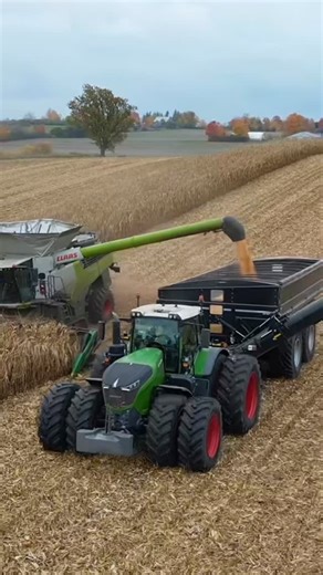 Auger Agriculture on Instagram: "Lots of corn coming off. #TheAuger"
