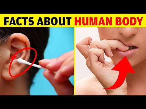 शरीर से जुड़े ये फैक्ट आपके होश उड़ा देंगे - Amazing Facts Of Human Body