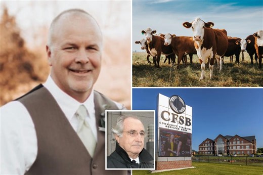 ‘Bernie Madoff of cows’ orchestrated $100M ‘ghost cattle’ Ponzi scheme: lawsuit