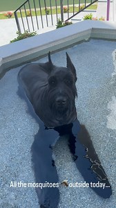 2.6K views · 96 reactions | Amy Morrison Host on Reels | Facebook